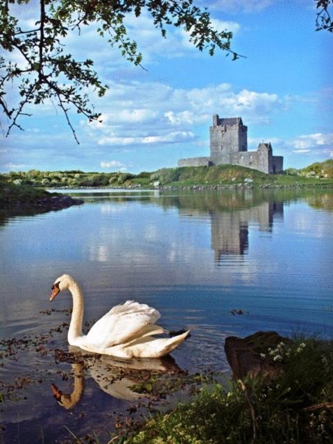 Kinvara Guesthouse Exterior foto